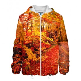 Мужская куртка 3D с принтом Осень в Екатеринбурге, ткань верха — 100% полиэстер, подклад — флис | прямой крой, подол и капюшон оформлены резинкой с фиксаторами, два кармана без застежек по бокам, один большой потайной карман на груди. Карман на груди застегивается на липучку | autumn | bright | colors | forest | paint | trees | деревья | краски | лес | осень | цвета | яркие
