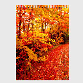 Скетчбук с принтом Осень в Екатеринбурге, 100% бумага
 | 48 листов, плотность листов — 100 г/м2, плотность картонной обложки — 250 г/м2. Листы скреплены сверху удобной пружинной спиралью | autumn | bright | colors | forest | paint | trees | деревья | краски | лес | осень | цвета | яркие