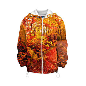 Детская куртка 3D с принтом Осень в Екатеринбурге, 100% полиэстер | застежка — молния, подол и капюшон оформлены резинкой с фиксаторами, по бокам — два кармана без застежек, один потайной карман на груди, плотность верхнего слоя — 90 г/м2; плотность флисового подклада — 260 г/м2 | autumn | bright | colors | forest | paint | trees | деревья | краски | лес | осень | цвета | яркие