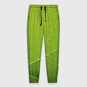 Мужские брюки 3D с принтом Листик 2 в Екатеринбурге, 100% полиэстер | манжеты по низу, эластичный пояс регулируется шнурком, по бокам два кармана без застежек, внутренняя часть кармана из мелкой сетки | зеленый | зелень | лист | природа | растения