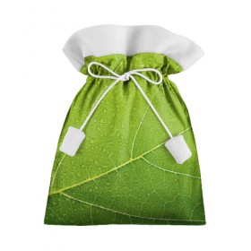 Подарочный 3D мешок с принтом Листик 2 в Екатеринбурге, 100% полиэстер | Размер: 29*39 см | Тематика изображения на принте: зеленый | зелень | лист | природа | растения