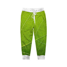 Детские брюки 3D с принтом Листик 2 в Екатеринбурге, 100% полиэстер | манжеты по низу, эластичный пояс регулируется шнурком, по бокам два кармана без застежек, внутренняя часть кармана из мелкой сетки | зеленый | зелень | лист | природа | растения