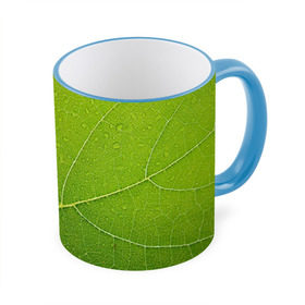 Кружка 3D с принтом Листик 2 в Екатеринбурге, керамика | ёмкость 330 мл | Тематика изображения на принте: зеленый | зелень | лист | природа | растения
