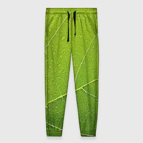 Женские брюки 3D с принтом Листик 2 в Екатеринбурге, полиэстер 100% | прямой крой, два кармана без застежек по бокам, с мягкой трикотажной резинкой на поясе и по низу штанин. В поясе для дополнительного комфорта — широкие завязки | зеленый | зелень | лист | природа | растения