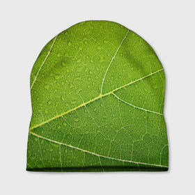 Шапка 3D с принтом Листик 2 в Екатеринбурге, 100% полиэстер | универсальный размер, печать по всей поверхности изделия | зеленый | зелень | лист | природа | растения