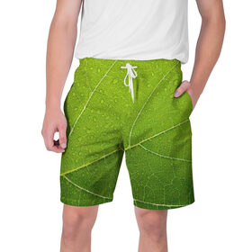 Мужские шорты 3D с принтом Листик 2 в Екатеринбурге,  полиэстер 100% | прямой крой, два кармана без застежек по бокам. Мягкая трикотажная резинка на поясе, внутри которой широкие завязки. Длина чуть выше колен | Тематика изображения на принте: зеленый | зелень | лист | природа | растения