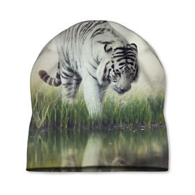 Шапка 3D с принтом Белый тигр в Екатеринбурге, 100% полиэстер | универсальный размер, печать по всей поверхности изделия | дикая кошка | природа | тигр | хищник