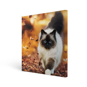 Холст квадратный с принтом Котик в листьях в Екатеринбурге, 100% ПВХ |  | грация | кот | котик | кошка | листья | осень