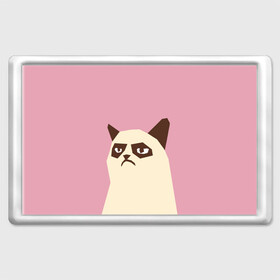 Магнит 45*70 с принтом Grumpy cat pink в Екатеринбурге, Пластик | Размер: 78*52 мм; Размер печати: 70*45 | кот | мем | угрюмый