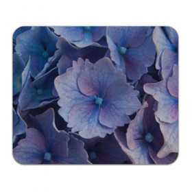 Коврик прямоугольный с принтом Синие цветочки в Екатеринбурге, натуральный каучук | размер 230 х 185 мм; запечатка лицевой стороны | Тематика изображения на принте: синий | сиреневый | цветок | цветы