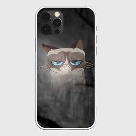 Чехол для iPhone 12 Pro Max с принтом Grumpy Cat в Екатеринбурге, Силикон |  | кот | мем | угрюмый