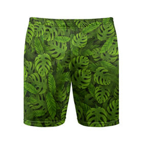 Мужские шорты 3D спортивные с принтом Тропические листья в Екатеринбурге,  |  | джунгли | монстера | пальма | растения | тропики