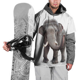 Накидка на куртку 3D с принтом Слон VPPDGryphon в Екатеринбурге, 100% полиэстер |  | luxury | premium | vip | vppdgryphon | премиум | слон | эксклюзив