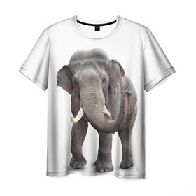 Мужская футболка 3D с принтом Слон VPPDGryphon в Екатеринбурге, 100% полиэфир | прямой крой, круглый вырез горловины, длина до линии бедер | luxury | premium | vip | vppdgryphon | премиум | слон | эксклюзив