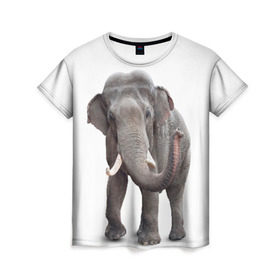 Женская футболка 3D с принтом Слон VPPDGryphon в Екатеринбурге, 100% полиэфир ( синтетическое хлопкоподобное полотно) | прямой крой, круглый вырез горловины, длина до линии бедер | luxury | premium | vip | vppdgryphon | премиум | слон | эксклюзив