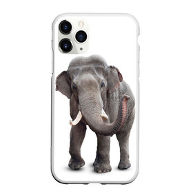 Чехол для iPhone 11 Pro матовый с принтом Слон VPPDGryphon в Екатеринбурге, Силикон |  | luxury | premium | vip | vppdgryphon | премиум | слон | эксклюзив