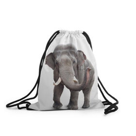 Рюкзак-мешок 3D с принтом Слон VPPDGryphon в Екатеринбурге, 100% полиэстер | плотность ткани — 200 г/м2, размер — 35 х 45 см; лямки — толстые шнурки, застежка на шнуровке, без карманов и подкладки | luxury | premium | vip | vppdgryphon | премиум | слон | эксклюзив
