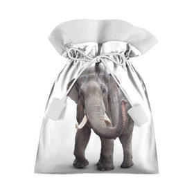 Подарочный 3D мешок с принтом Слон VPPDGryphon в Екатеринбурге, 100% полиэстер | Размер: 29*39 см | luxury | premium | vip | vppdgryphon | премиум | слон | эксклюзив