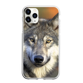 Чехол для iPhone 11 Pro матовый с принтом Волк в Екатеринбурге, Силикон |  | волк | волки | волчата | волчонок | хищник