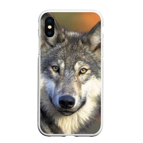 Чехол для iPhone XS Max матовый с принтом Волк в Екатеринбурге, Силикон | Область печати: задняя сторона чехла, без боковых панелей | волк | волки | волчата | волчонок | хищник