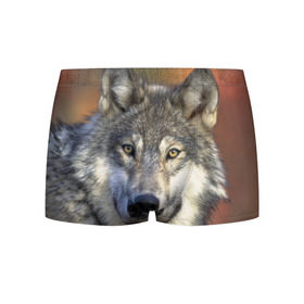 Мужские трусы 3D с принтом Волк в Екатеринбурге, 50% хлопок, 50% полиэстер | классическая посадка, на поясе мягкая тканевая резинка | волк | волки | волчата | волчонок | хищник
