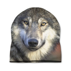 Шапка 3D с принтом Волк в Екатеринбурге, 100% полиэстер | универсальный размер, печать по всей поверхности изделия | волк | волки | волчата | волчонок | хищник