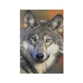 Обложка для паспорта матовая кожа с принтом Волк в Екатеринбурге, натуральная матовая кожа | размер 19,3 х 13,7 см; прозрачные пластиковые крепления | Тематика изображения на принте: волк | волки | волчата | волчонок | хищник