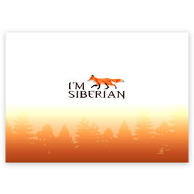 Поздравительная открытка с принтом Я из Сибири в Екатеринбурге, 100% бумага | плотность бумаги 280 г/м2, матовая, на обратной стороне линовка и место для марки
 | siberia | лес | лиса | приключения | россия | сибирь | тайга | туризм | холод | экстрим