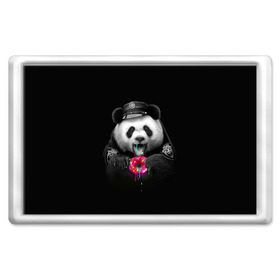 Магнит 45*70 с принтом Donut Panda в Екатеринбурге, Пластик | Размер: 78*52 мм; Размер печати: 70*45 | bear | donut | panda | police | коп | медведь | панда | пончик