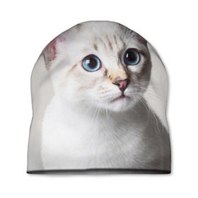 Шапка 3D с принтом Кошечка в Екатеринбурге, 100% полиэстер | универсальный размер, печать по всей поверхности изделия | кот | котики | котята | кошка | рыженький | рыжий | серенький | черненький