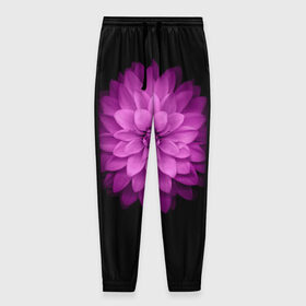 Мужские брюки 3D с принтом Violet в Екатеринбурге, 100% полиэстер | манжеты по низу, эластичный пояс регулируется шнурком, по бокам два кармана без застежек, внутренняя часть кармана из мелкой сетки | лепестки | прикольные картинки | фиолетовый | цветочки | цветы