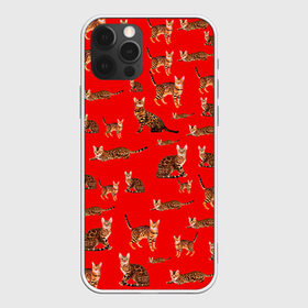 Чехол для iPhone 12 Pro Max с принтом Котейки дольче в Екатеринбурге, Силикон |  | dg | dolce | gabbana | габбана | дольче | киска | котенок | котик | кошечка | кошка