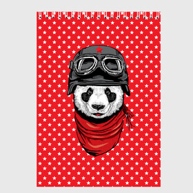 Скетчбук с принтом Панда пилот в Екатеринбурге, 100% бумага
 | 48 листов, плотность листов — 100 г/м2, плотность картонной обложки — 250 г/м2. Листы скреплены сверху удобной пружинной спиралью | Тематика изображения на принте: bear | panda | pilot | медведь