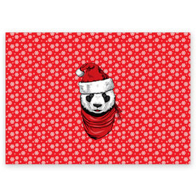 Поздравительная открытка с принтом Панда Клаус в Екатеринбурге, 100% бумага | плотность бумаги 280 г/м2, матовая, на обратной стороне линовка и место для марки
 | animal | bear | beast | claus | panda | santa | дед мороз | елка | зверь | клаус | медведь | новый год | панда | рождество | санта | снег