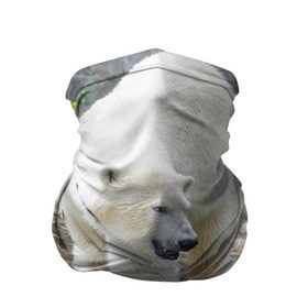 Бандана-труба 3D с принтом Белый медведь в Екатеринбурге, 100% полиэстер, ткань с особыми свойствами — Activecool | плотность 150‒180 г/м2; хорошо тянется, но сохраняет форму | арктика