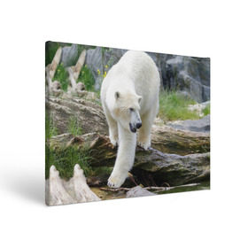 Холст прямоугольный с принтом Белый медведь в Екатеринбурге, 100% ПВХ |  | арктика