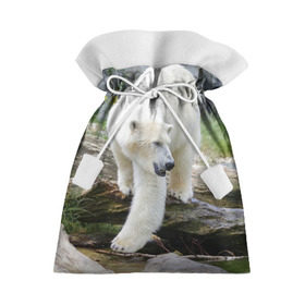 Подарочный 3D мешок с принтом Белый медведь в Екатеринбурге, 100% полиэстер | Размер: 29*39 см | арктика