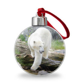 Ёлочный шар с принтом Белый медведь в Екатеринбурге, Пластик | Диаметр: 77 мм | арктика