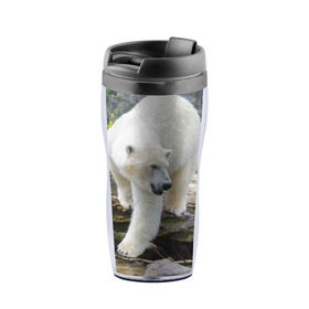 Термокружка-непроливайка с принтом Белый медведь в Екатеринбурге, внутренняя часть — пищевой пластик, наружная часть — прозрачный пластик, между ними — полиграфическая вставка с рисунком | объем — 350 мл, герметичная крышка | арктика