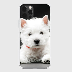 Чехол для iPhone 12 Pro Max с принтом Вест-хайленд-уайт-терьер в Екатеринбурге, Силикон |  | Тематика изображения на принте: вест хайленд уайт терьер | животное | порода | собака