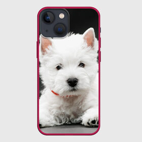 Чехол для iPhone 13 mini с принтом Вест хайленд уайт терьер в Екатеринбурге,  |  | вест хайленд уайт терьер | животное | порода | собака