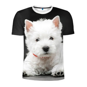 Мужская футболка 3D спортивная с принтом Вест-хайленд-уайт-терьер в Екатеринбурге, 100% полиэстер с улучшенными характеристиками | приталенный силуэт, круглая горловина, широкие плечи, сужается к линии бедра | вест хайленд уайт терьер | животное | порода | собака