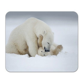 Коврик прямоугольный с принтом Идиллия в Екатеринбурге, натуральный каучук | размер 230 х 185 мм; запечатка лицевой стороны | айсберг | арктика | животные | лёд | медведи | природа | север | снег