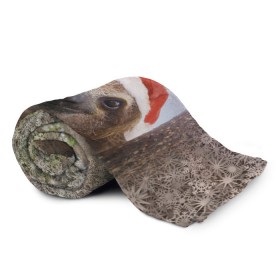 Плед 3D с принтом Рождественский ленивец в Екатеринбурге, 100% полиэстер | закругленные углы, все края обработаны. Ткань не мнется и не растягивается | джунгли | животное | ленивый | лень | новый год | рождество | снег | снежинки | тропики | улыбка | шапка