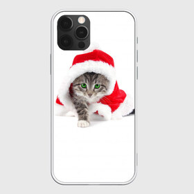 Чехол для iPhone 12 Pro Max с принтом Новогодняя Киса в Екатеринбурге, Силикон |  | cat | christmas | new year | winter | дед мороз | зима | кисы | кошки | новый год | рождество