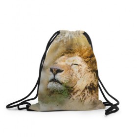 Рюкзак-мешок 3D с принтом Лев в Екатеринбурге, 100% полиэстер | плотность ткани — 200 г/м2, размер — 35 х 45 см; лямки — толстые шнурки, застежка на шнуровке, без карманов и подкладки | Тематика изображения на принте: зверь | лев | тигр | хищник
