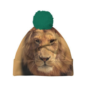 Шапка 3D c помпоном с принтом Лев в Екатеринбурге, 100% полиэстер | универсальный размер, печать по всей поверхности изделия | животные | кошка | лев | тигр | хищник
