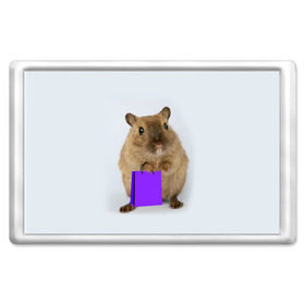 Магнит 45*70 с принтом Хомяк с сумкой в Екатеринбурге, Пластик | Размер: 78*52 мм; Размер печати: 70*45 | грызун | животные | крыса | мышь | хомяк | яблоко