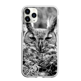 Чехол для iPhone 11 Pro Max матовый с принтом Филин в Екатеринбурге, Силикон |  | bird | nest | night | nocturnal | owl | predator | гнездо | ночной | птица | сова | филин | хищник