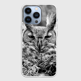 Чехол для iPhone 13 Pro с принтом Филин в Екатеринбурге,  |  | bird | nest | night | nocturnal | owl | predator | гнездо | ночной | птица | сова | филин | хищник